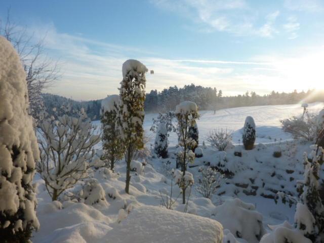 Landhotel Talblick Neuweiler  Dış mekan fotoğraf